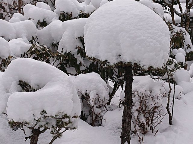 719�� ��x�ڂ̑劦�g�ƍ����̓����A���v�X����R 02_������