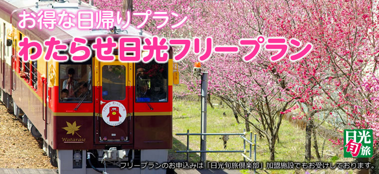お得な日帰りプラン わたらせ日光フリープラン