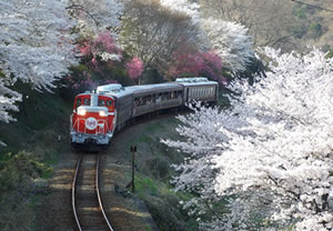 わてつ沿線春の花まつりフリープラン
